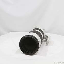 FE 200-600mm F5.6-6.3 G OSS SEL200600G