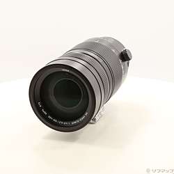 LEICA DG VARIO-ELMAR 100-400mm／F4-6.3 H-RS100400