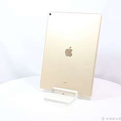ジャンクiPad Pro 12.9インチ 第2世代 SIMフリー 256GB iPad Pro 12.9インチ（第2世代） 商品一覧｜ムスビー【中古