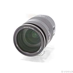 FE 24-105mm F4 G OSS SEL24105G