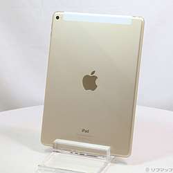 【美品】iPad Air2 9.7インチ ゴールド Apple iPad Air2ゴールド 本体 ジャンク iPad Air2 9.7インチ 16GB