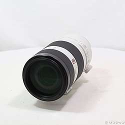 FE 100-400mm F4.5-5.6 GM OSS SEL100400GM