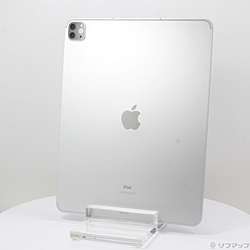 iPad Air2 16GB シルバー 本体のみ iPad Air iPadAir2 16GB Wi-Fi+Cellular シルバー 中古 本体