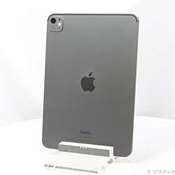 ipad pro 第5世代 11インチ iPad Pro 11インチ 第5世代 Wi-Fi + Cellular 256GB MVW23J/A au