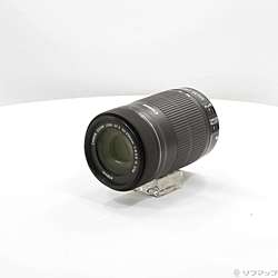 Canon EF-S 55-250mm F4-5.6 IS STM (レンズ)
