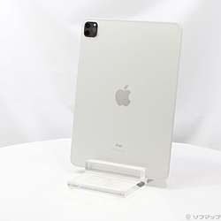 中古iPad Pro 11インチ 第3世代 - リコレ！|ビックカメラグループ