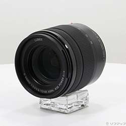 LUMIX G VARIO 12-60mm／F3.5-5.6 (H-FS12060)