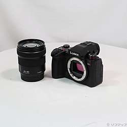 LUMIX S5II 標準ズームレンズキット DC-S5M2K