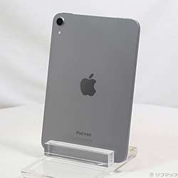 中古iPad mini(A17 Pro) - リコレ！|ビックカメラグループ