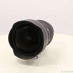 FE 12-24mm F2.8 GM SEL1224GM