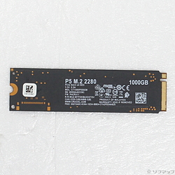 CT1000P5SSD8JP