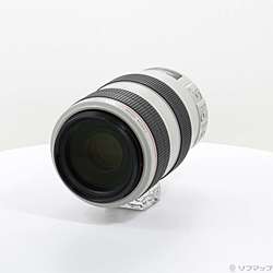 Canon EF 70-300mm F4-5.6 L IS USM (レンズ)