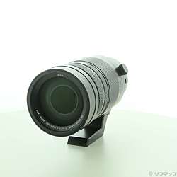 LEICA DG VARIO-ELMAR 100-400mm／F4-6.3 H-RS100400