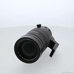 LEICA DG VARIO-ELMAR 100-400mm／F4-6.3 H-RS100400