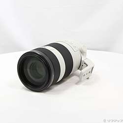 FE 100-400mm F4.5-5.6 GM OSS SEL100400GM