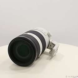 FE 100-400mm F4.5-5.6 GM OSS SEL100400GM