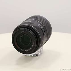LUMIX G Vario 45-200mm F4-5.6 H-FS045200 レンズ μ4／3