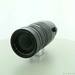 LEICA DG VARIO-ELMAR 100-400mm／F4-6.3 H-RS100400