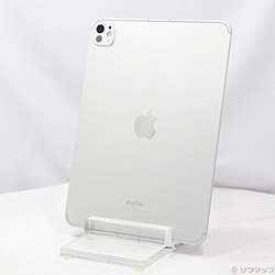 美品iPad Pro11インチ第5世代m4チップ iPad Pro 11インチ M4チップ 第五世代 Apple iPad Pro 11インチ