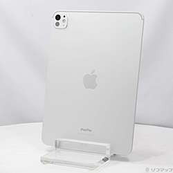 iPad Pro M11インチ (第5世代)　ジャンク品 iPad Pro M11インチ (第5世代) ジャンク品