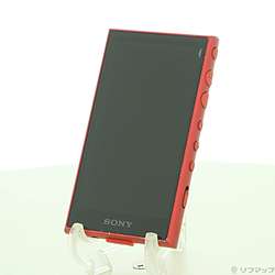 早い者勝ち✨️NW-A306/BTR/B 中古品 2133066844115_1.jpg