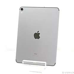 中古iPad Pro 11インチ - リコレ！|ビックカメラグループ