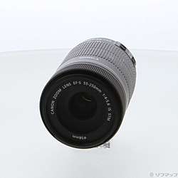 Canon EF-S 55-250mm F4-5.6 IS STM (レンズ)