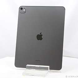 中古iPad Pro 13インチ 第1世代 標準ガラス - リコレ