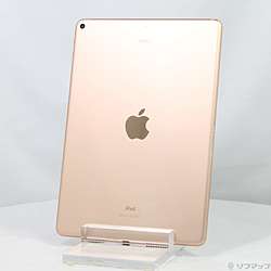 中古iPad Air 第3世代 - リコレ！|ビックカメラグループ ソフマップの
