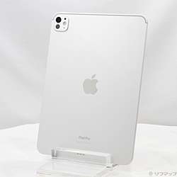 中古iPad Pro 11インチ 第5世代 標準ガラス - リコレ！|ビックカメラ