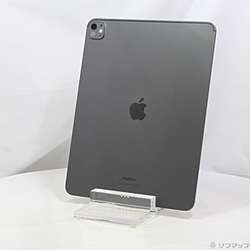 中古iPad Pro 13インチ 第1世代 標準ガラス - リコレ！|ビックカメラ