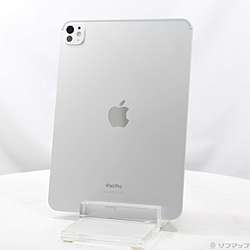 中古】iPad Pro 11インチ 第5世代 標準ガラス 256GB シルバー MVV93J