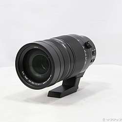 LEICA DG VARIO-ELMAR 100-400mm／F4-6.3 H-RS100400