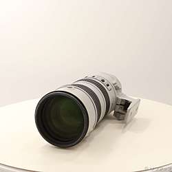 Nikon AF-S VR ED 70-200mm F2.8 G ライトグレー (レンズ)