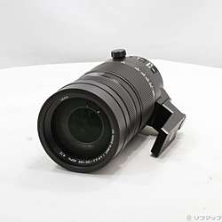 LEICA DG VARIO-ELMAR 100-400mm／F4.0-6.3 II ASPH.／POWER O.I.S. H-RSA100400