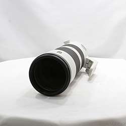 FE 200-600mm F5.6-6.3 G OSS SEL200600G