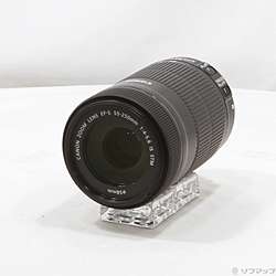 Canon EF-S 55-250mm F4-5.6 IS STM (レンズ)
