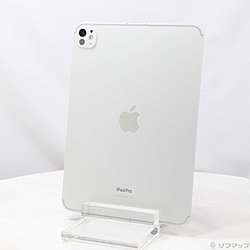 中古iPad Pro 11インチ 第5世代 標準ガラス - リコレ！|ビックカメラ