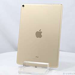 中古iPad Pro 10.5インチ - リコレ！|ビックカメラグループ ソフマップ