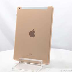 中古iPad 第 6世代 - リコレ！|ビックカメラグループ ソフマップの中古