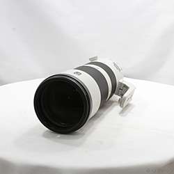 FE 200-600mm F5.6-6.3 G OSS SEL200600G