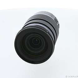 M.ZUIKO DIGITAL ED 12-100mm F4.0 IS PRO