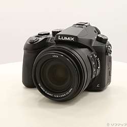 LUMIX DMC-FZH1