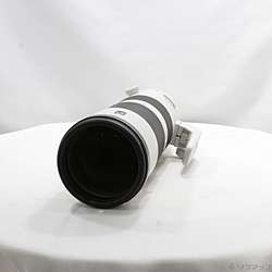 FE 200-600mm F5.6-6.3 G OSS SEL200600G
