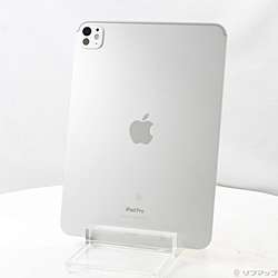 中古iPad Pro 11インチ 第5世代 Nano-textureガラス - リコレ