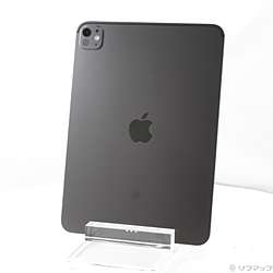中古iPad Pro 11インチ(M5) 標準ガラス - リコレ！|ビックカメラ