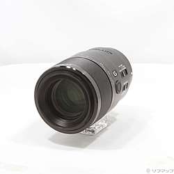 FE 90mm F2.8 Macro G OSS SEL90M28G (Eレンズ)