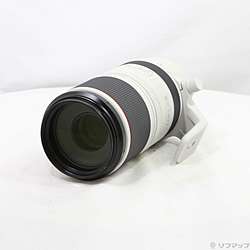 RF100-500mm F4.5-7.1 L IS USM