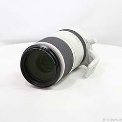 RF100-500mm F4.5-7.1 L IS USM