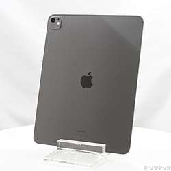 中古】iPad Pro 13インチ 第1世代 標準ガラス 256GB スペースブラック